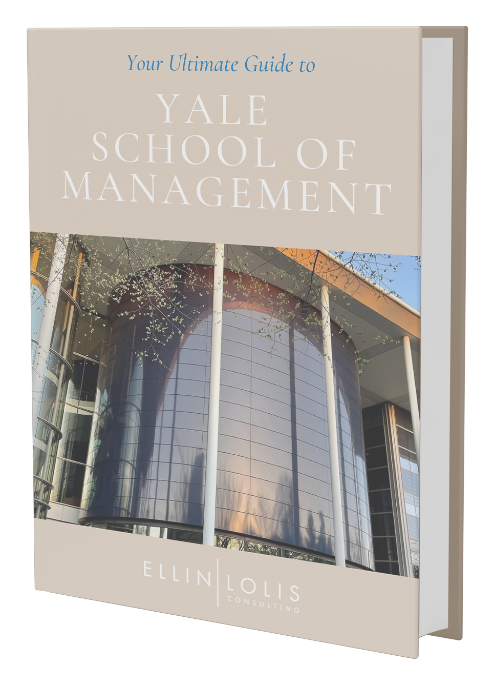 Your Ultimate Guide to Yale School of Management