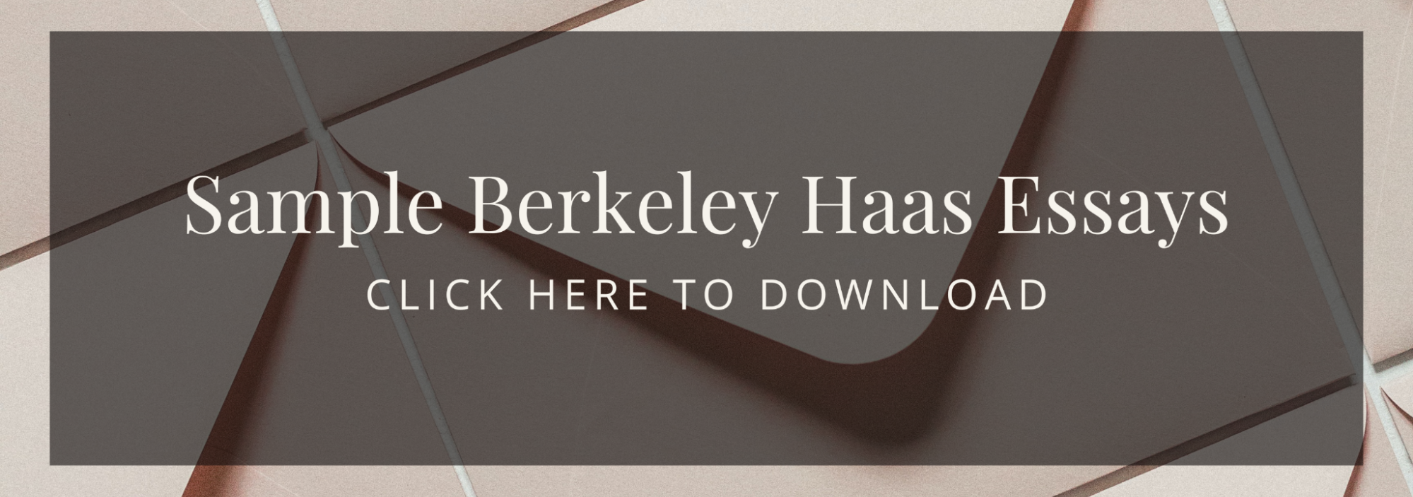 Example Berkeley Haas Essays